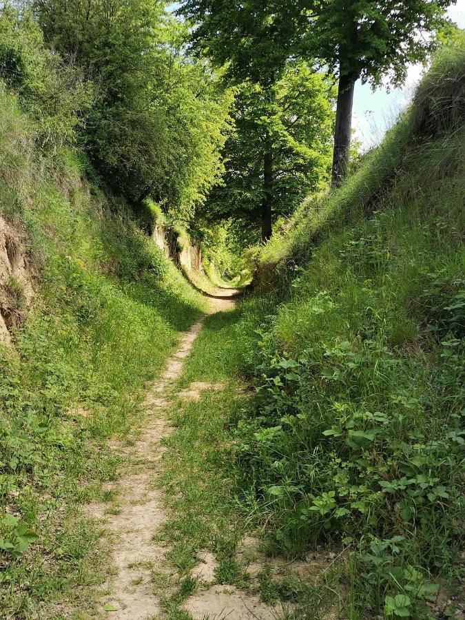 Im Herzen Des Kraichgaus 1 Ostringen Екстериор снимка